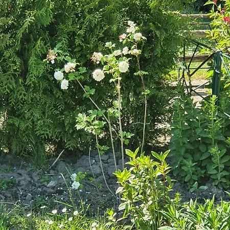 Prázdninový dům Rekerlanden 177 Vakantiewoning Nabij