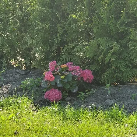 Rekerlanden 177 Vakantiewoning Nabij
